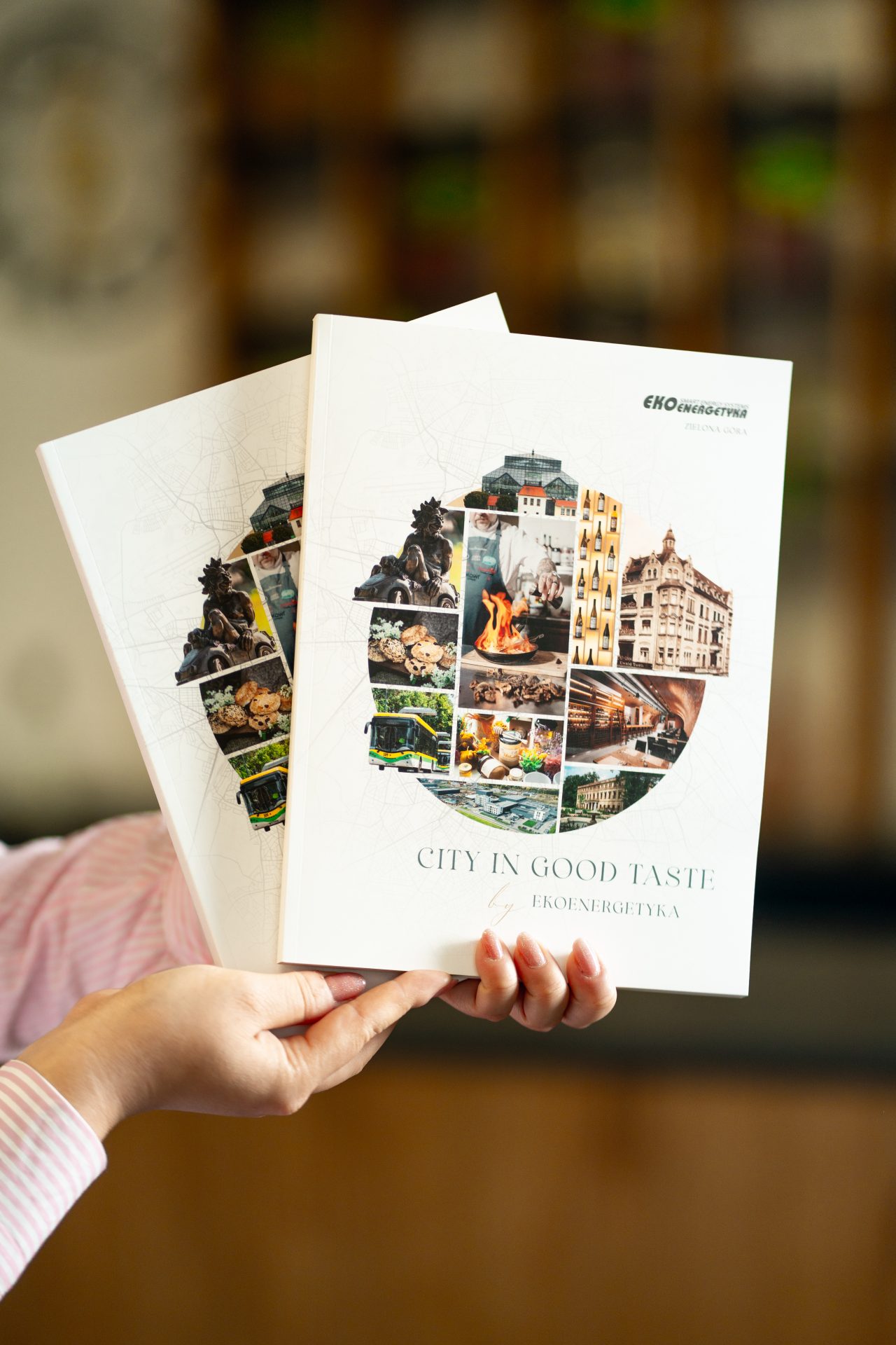 Ekoenergetyka Zielona G&oacute;ra Książka Book, Ekoenergetyka