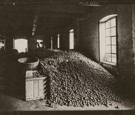 Ekoenergetyczna Mapa Smaków, Ekoenergetyka