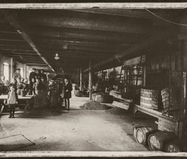 Ekoenergetyczna Mapa Smaków, Ekoenergetyka