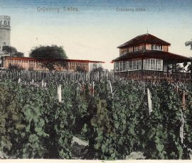 City in good taste by Ekoenergetyka, Ekoenergetyka