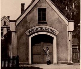 City in good taste by Ekoenergetyka, Ekoenergetyka